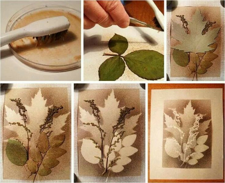 Art Ideas For Adults
 Splatter art with layered leaves