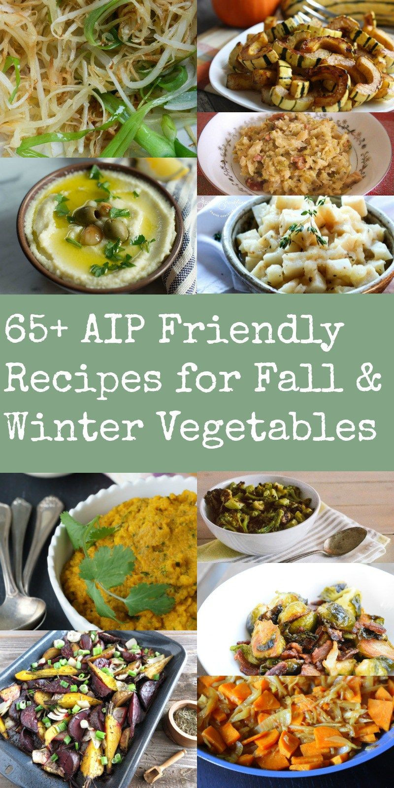 Autoimmune Paleo Diet Recipes
 65 AIP Recipes for Fall and Winter Ve ables