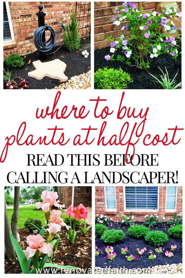 Average Cost To Landscape Backyard
 Average Cost to Landscape Backyard 2021 musclecranking