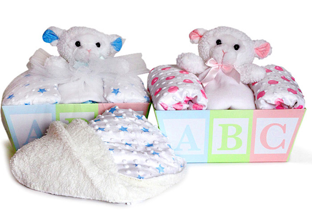 Baby Blanket Gifts
 Baby Blanket & Lovey Gift Basket from Silly Phillie