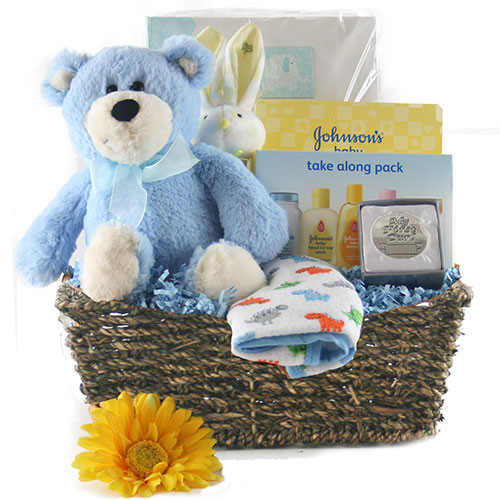 Baby Boy Gift Baskets Delivery
 Special Delivery Baby Boy Gift Basket