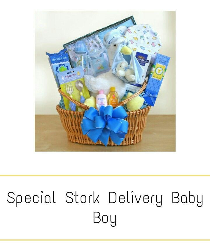 Baby Boy Gift Baskets Delivery
 Special stork delivery baby boy t basket