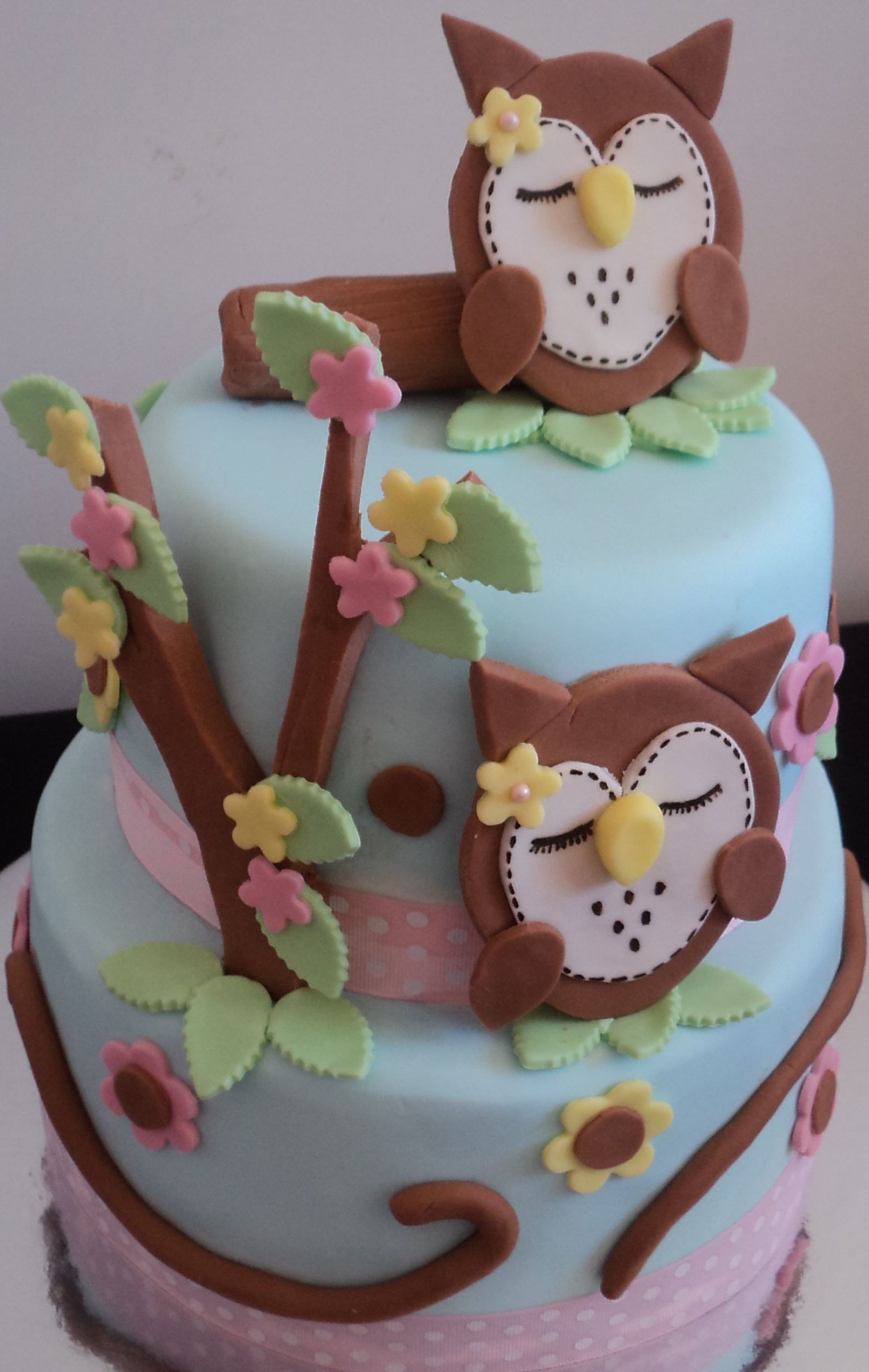 Baby Cake Decorations Ideas
 Owl Cakes – Decoration Ideas