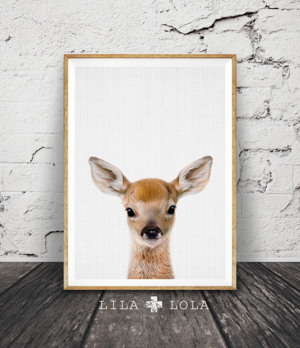 Baby Deer Decor
 Woodlands Nursery Decor Baby Deer Print Fawn Wall Art by