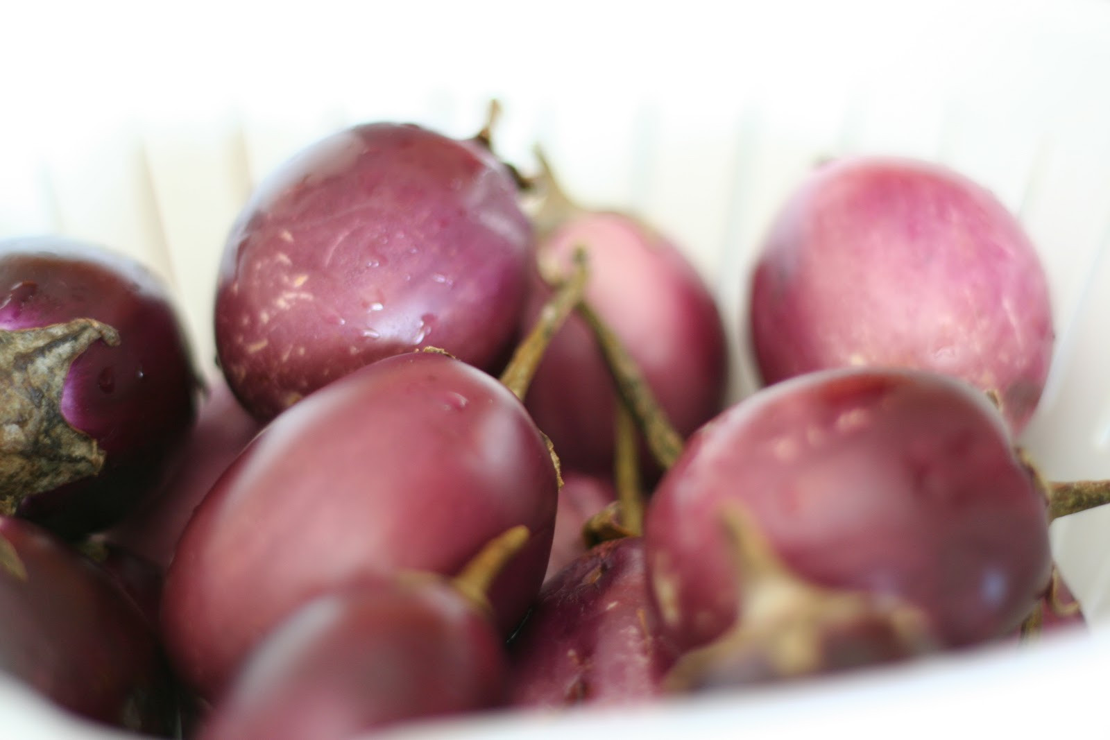 Baby Eggplant Recipes Indian
 spicy baby eggplants Indian style