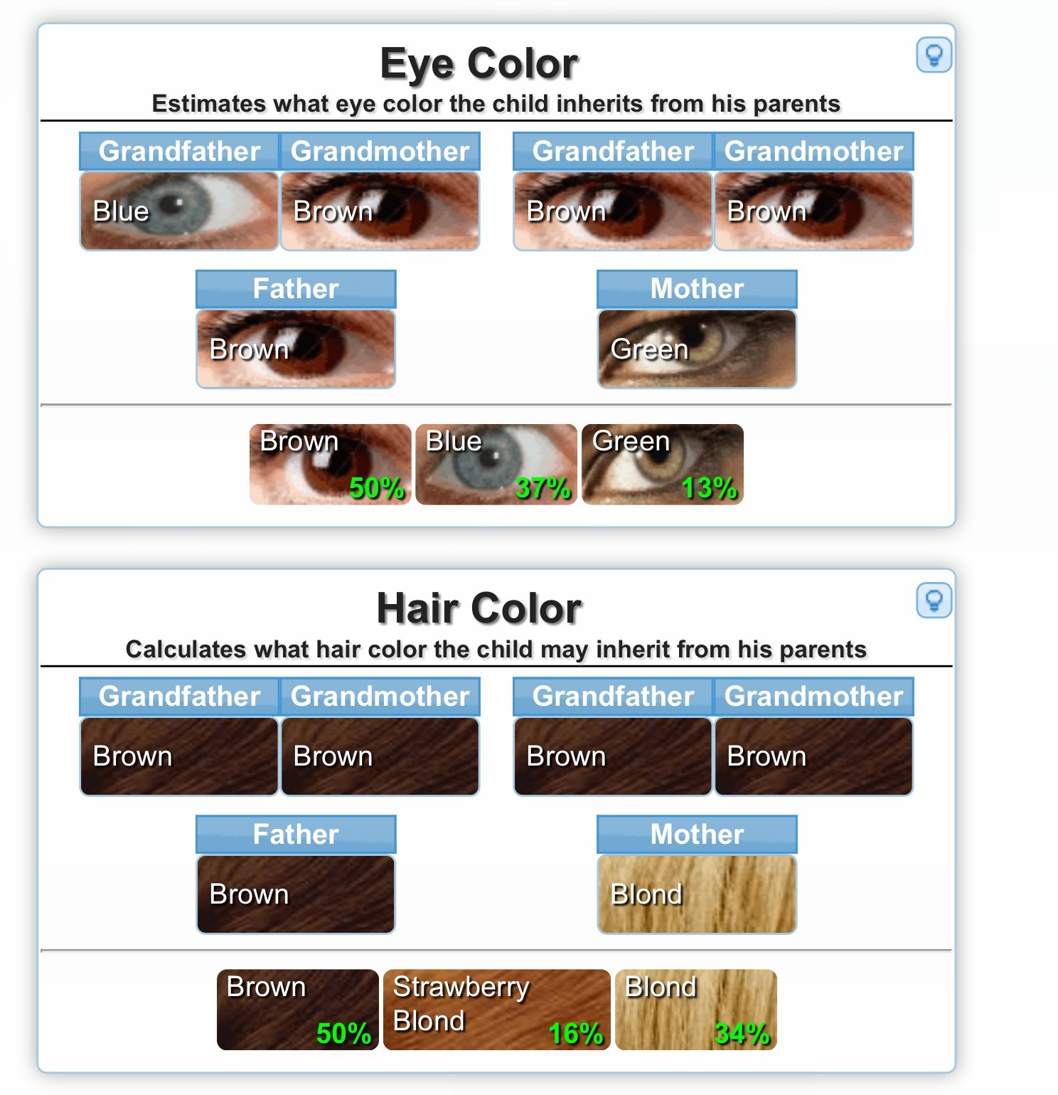 Baby Eye And Hair Color Predictor
 Eye Color Genetics Predictor