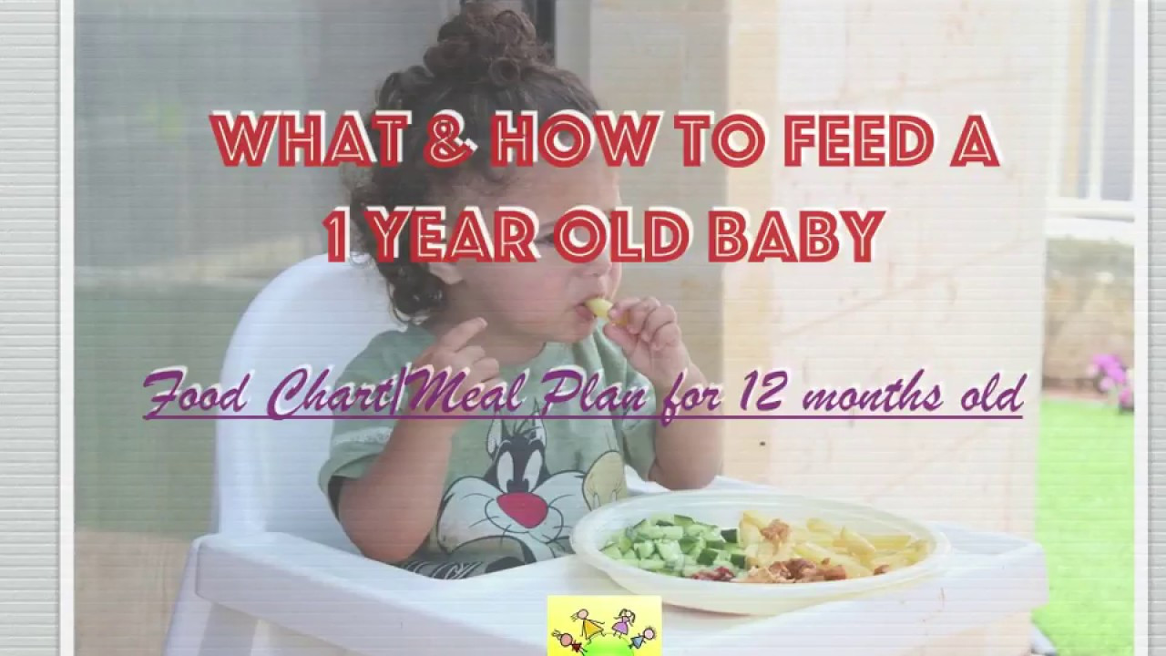 Baby Foods Recipes For 1 Year Old
 Food Chart for 1 year old baby Meal Plan for 12 months