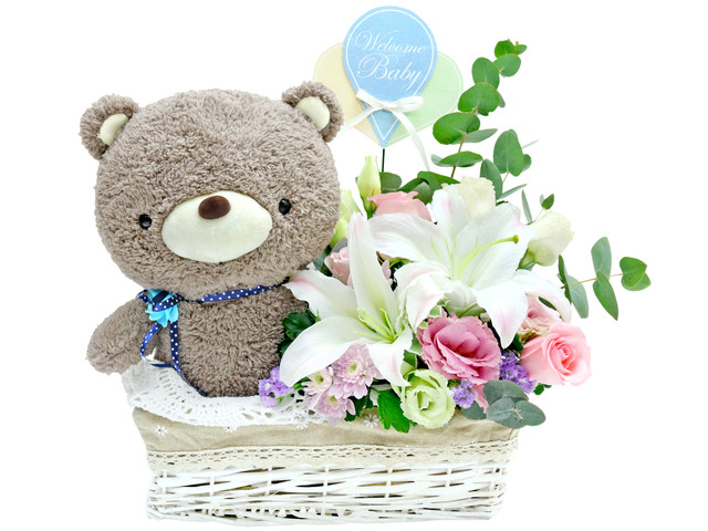 Baby Gift Botique
 New Born Baby Gift new born baby flower t basket