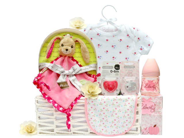 Baby Gift Botique
 New Born Baby Gift Baby Clothes Gift Basket z11