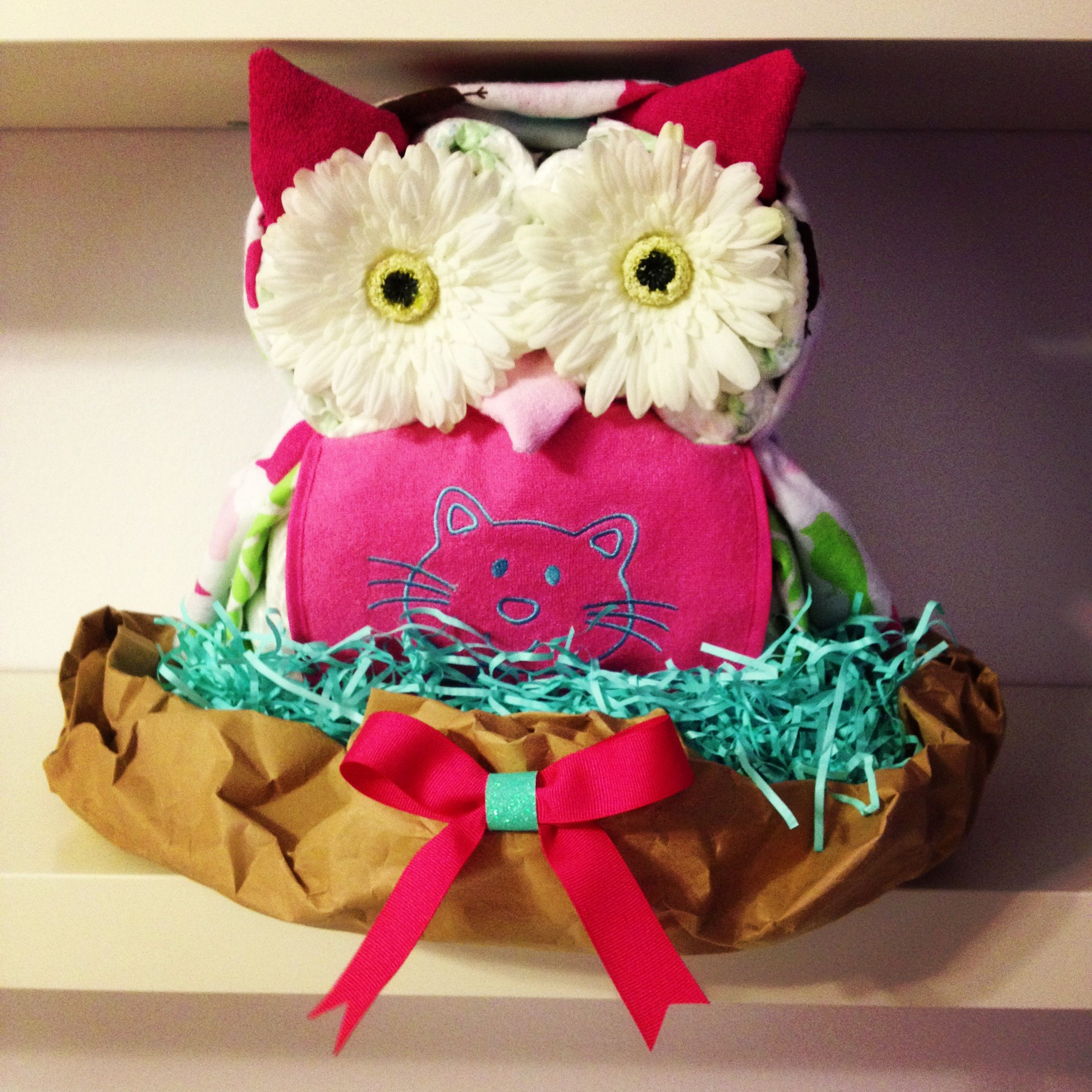 Baby Girl Owl Decor
 Baby girl owl