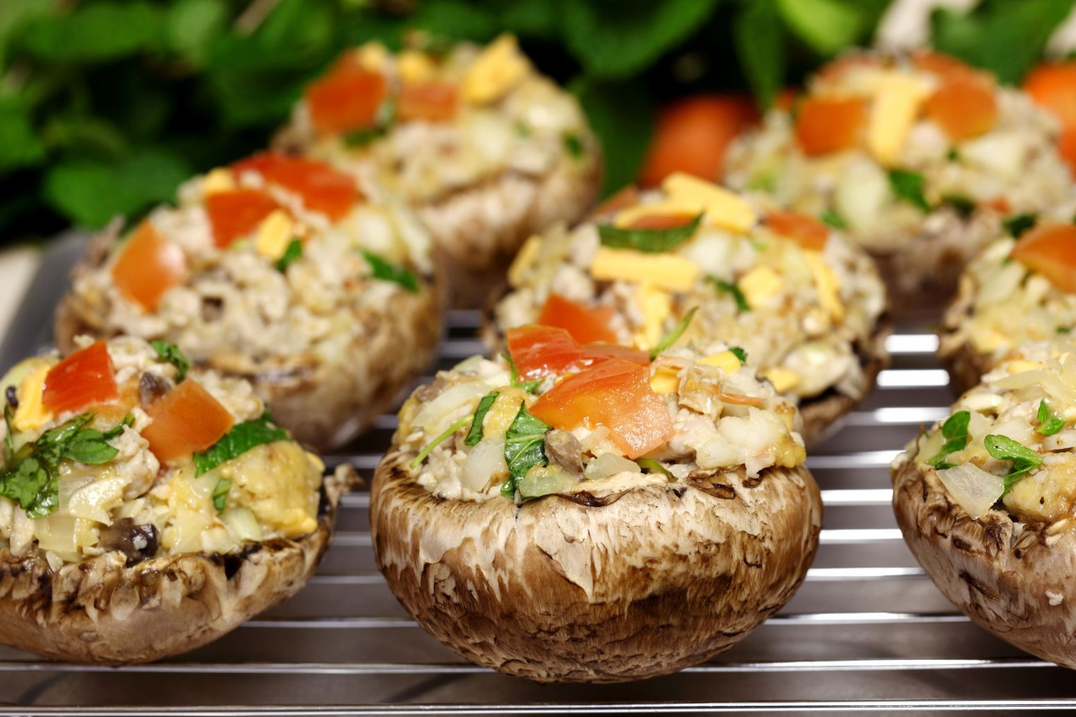 Baby Portobello Mushroom Recipes
 Appetizer Recipe Stuffed Baby Portobello Mushrooms