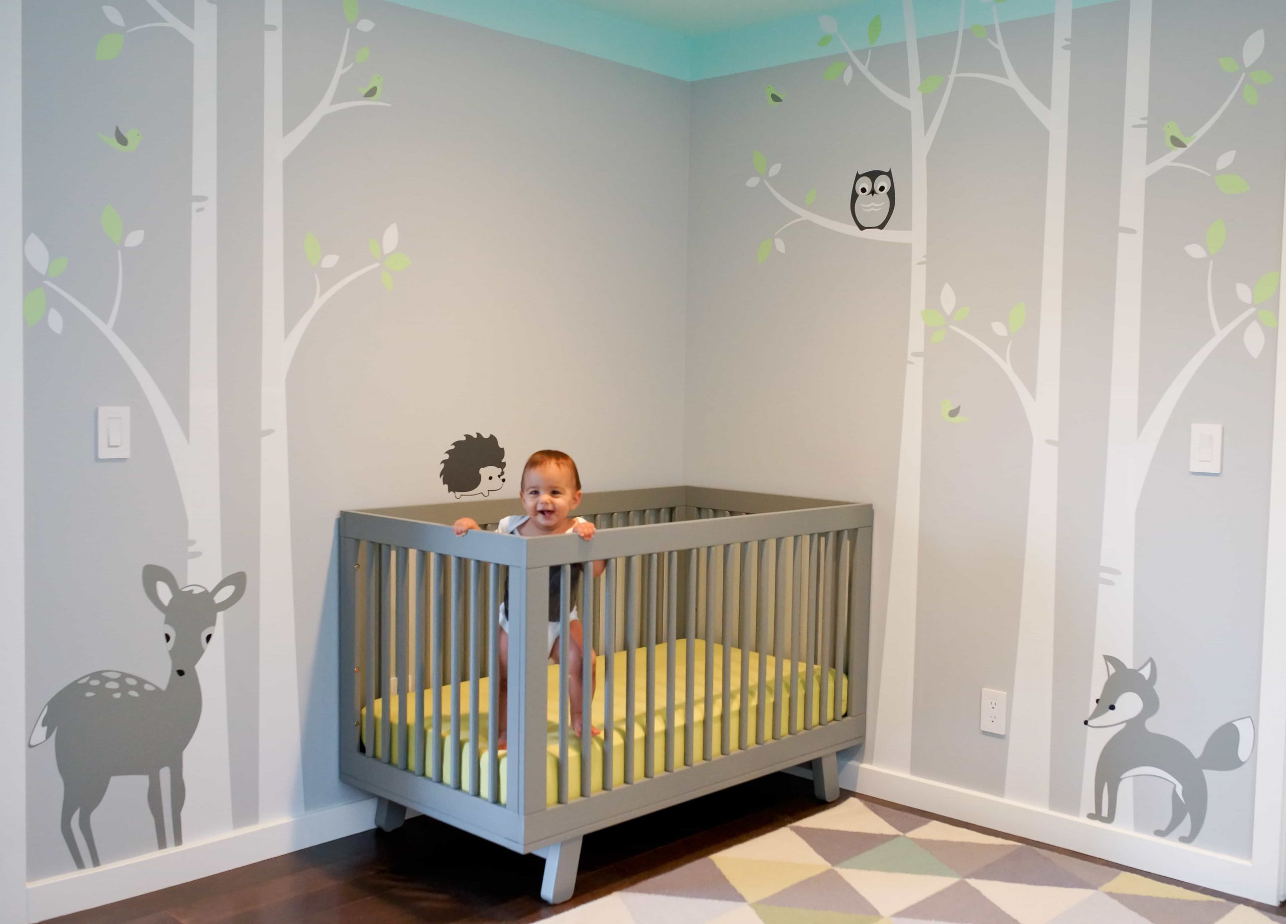 Baby Room Wall Decorating Ideas
 Minimalist Nursery Bedroom Furniture Design Ideas 5606