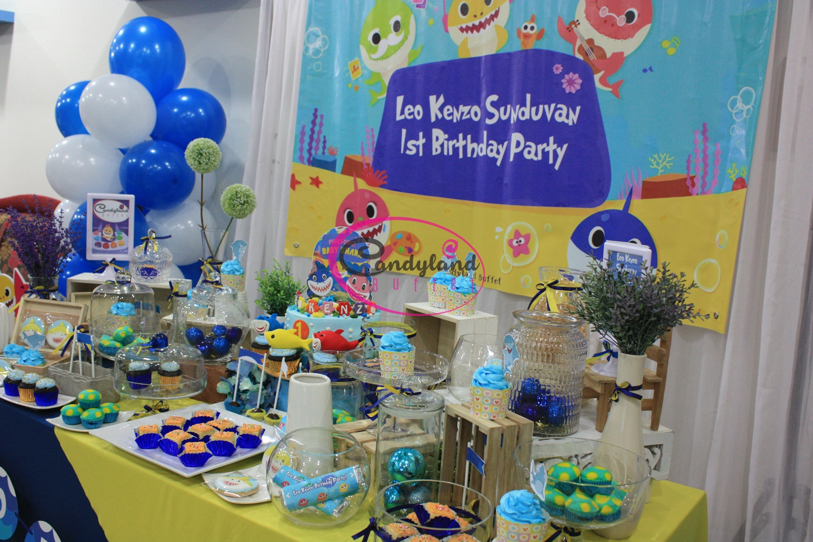 Baby Shark Party Supplies
 Candy Buffet Kota Kinabalu Sabah Baby Shark Birthday Theme