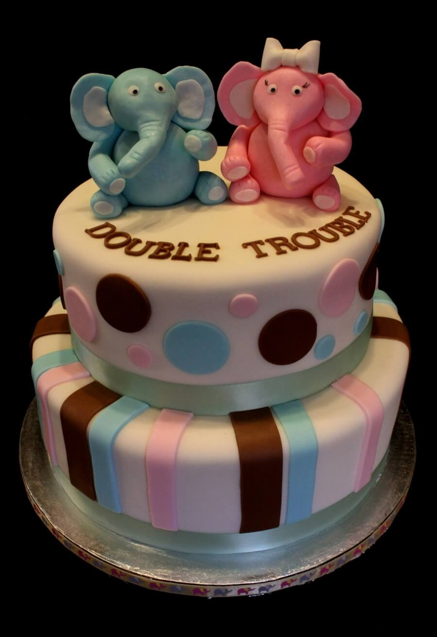 Baby Shower Cake Decoration Ideas
 The Best Themes for a Twin Baby Shower Baby Ideas