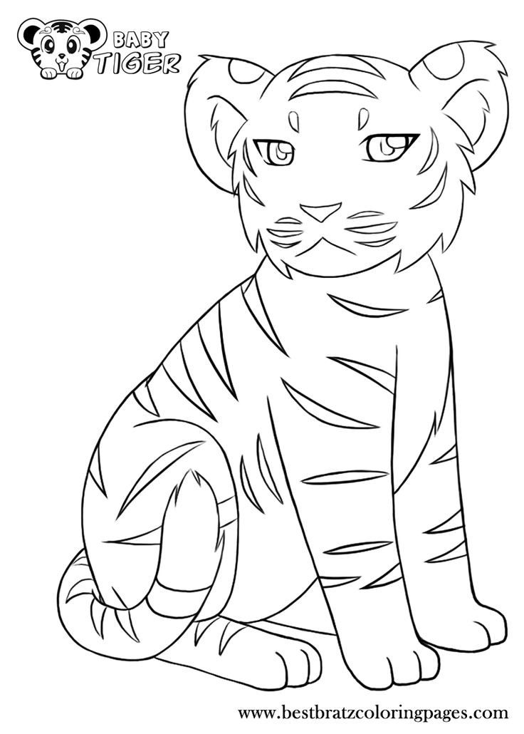 Baby Tigers Coloring Pages
 Baby Tiger Coloring Pages Coloring Home