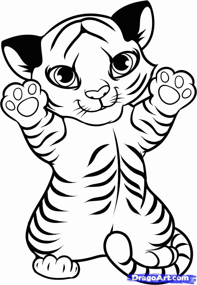 Baby Tigers Coloring Pages
 Cute Baby Tiger Coloring Pages Coloring Home