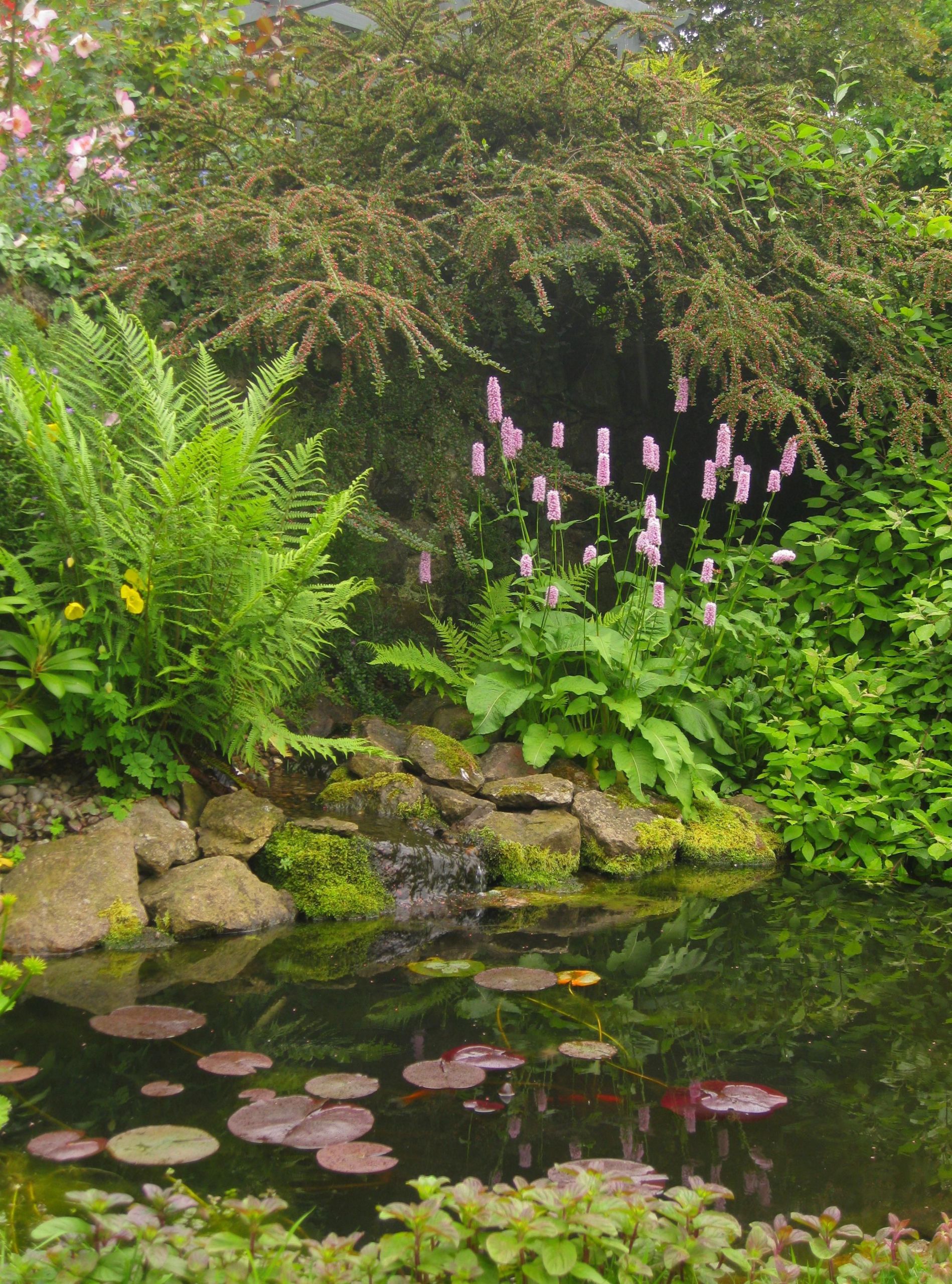 Backyard Anthem Songs
 Landscape Gardening Leighton Buzzard