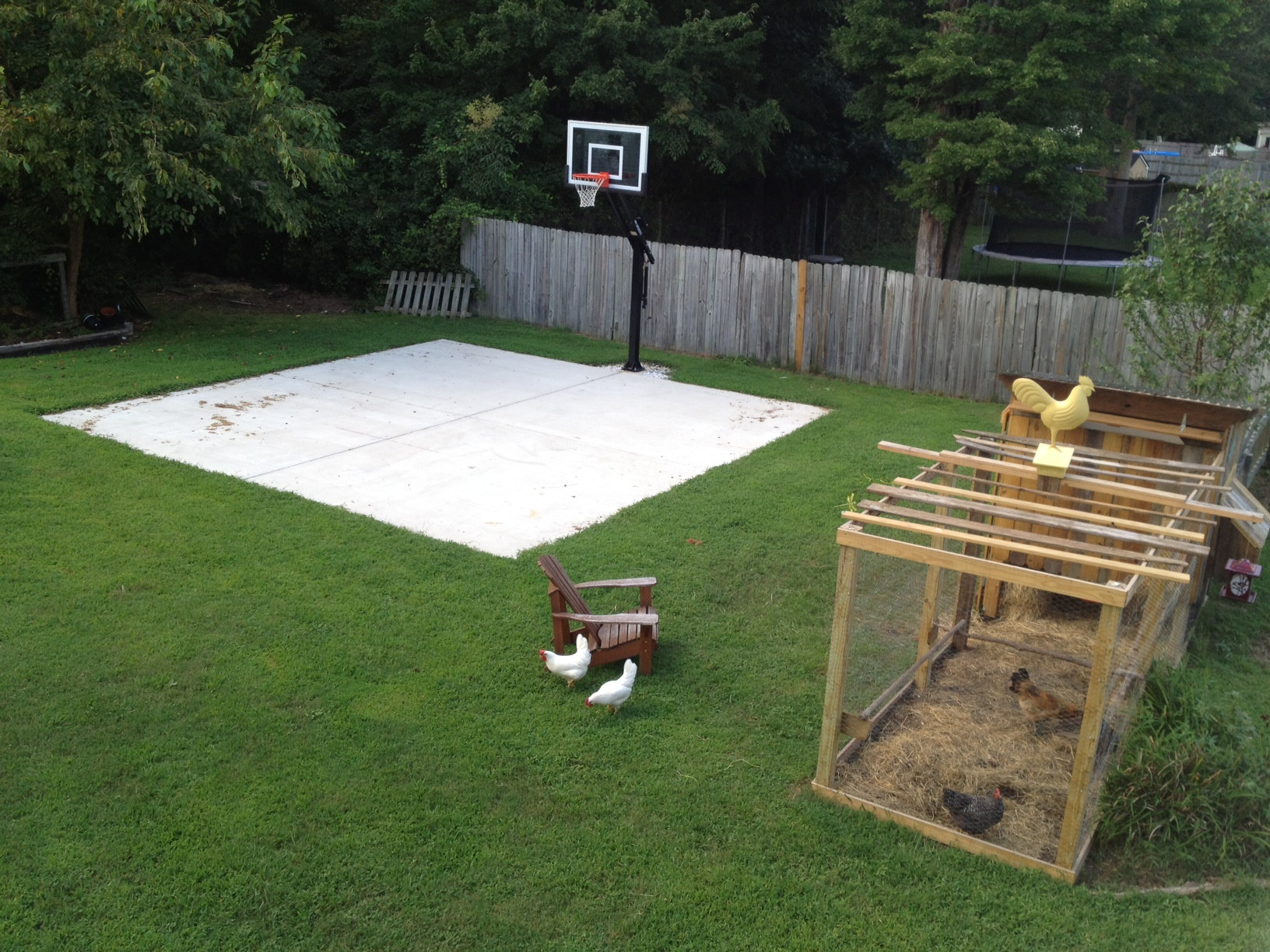 Backyard Basketball Courts Cost
 Backyard basketball on a concrete slab