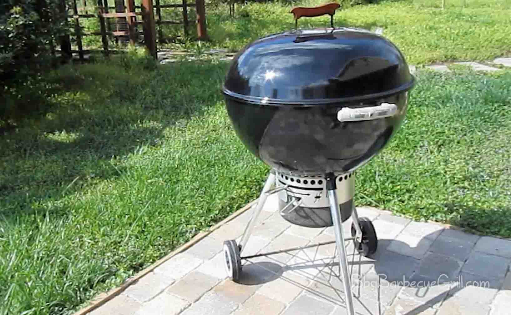 Backyard Bbq 2020
 Backyard Tailgate Grills in 2019 2020 BBQ Grill