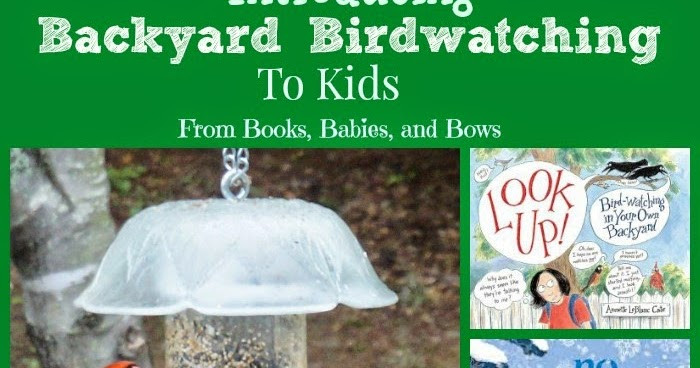 Backyard Bird Watching
 Books Babies and Bows Introducing Backyard Bird