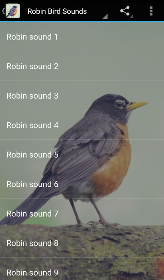 Backyard Birds Sounds
 Robin Bird Sounds Android Apps on Google Play