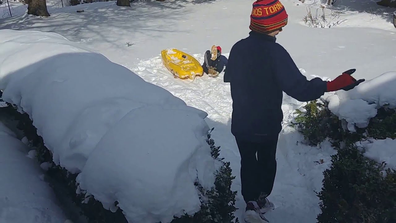 Backyard Bowyer Youtube
 me and my friend bowyer go for a sled in my backyard