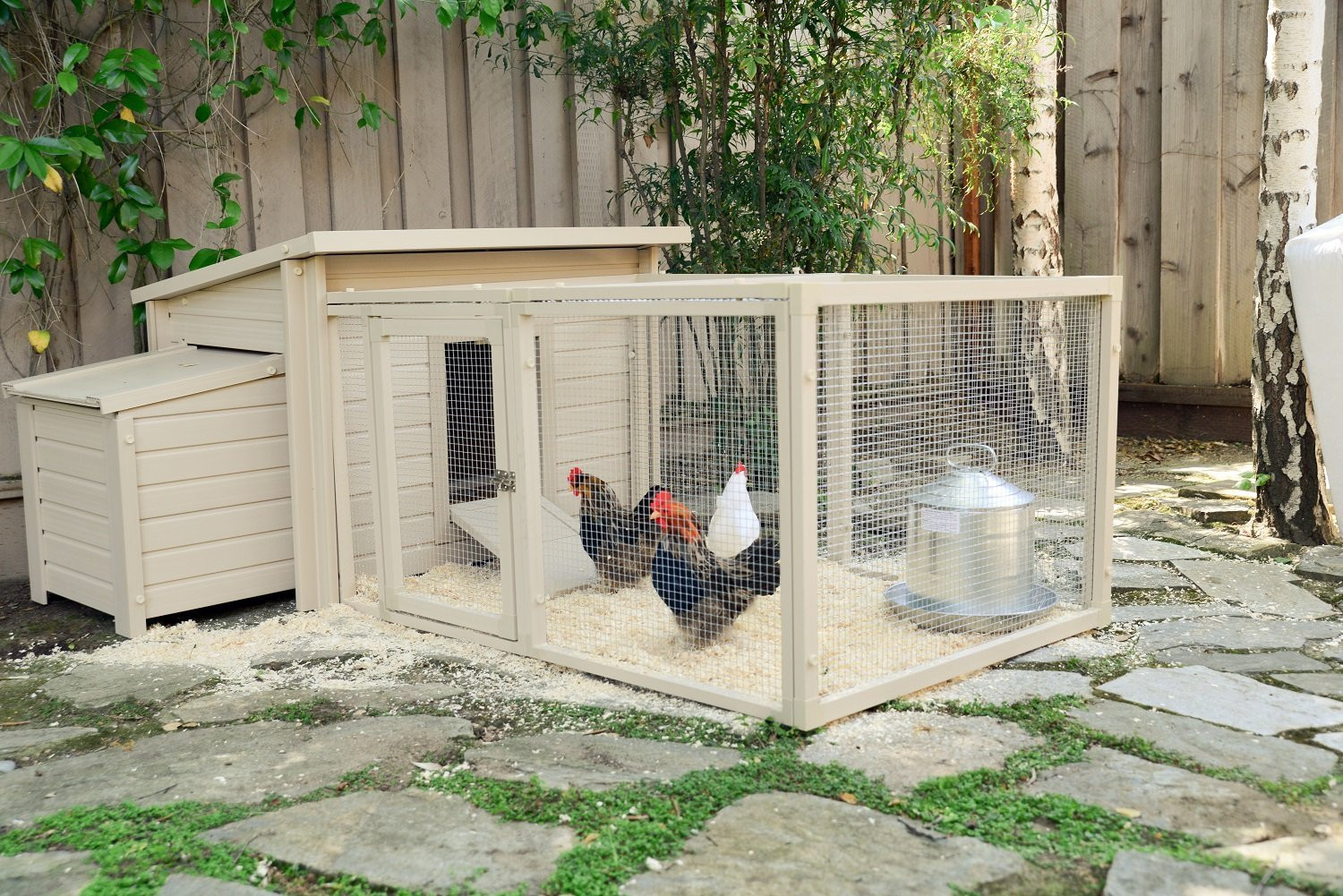 Backyard Chicken Supplies
 Chicken Coop Barn House Building Backyard Egg Poultry