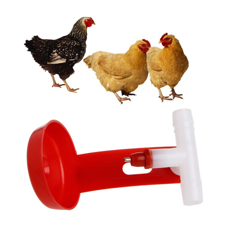 Backyard Chicken Supplies
 Plastic Poultry Water Drinking Cups Plastic Hanging