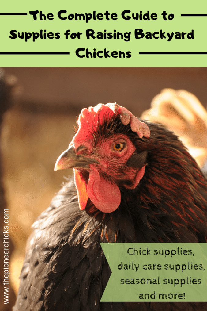 Backyard Chicken Supplies
 The plete Guide to Supplies for Raising Chickens The