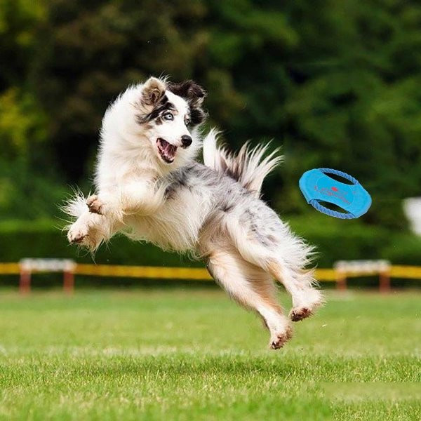 Backyard Dog Toys
 5 HOTTEST OUTDOOR DOG TOYS YOUR POOCH NEEDS RIGHT NOW