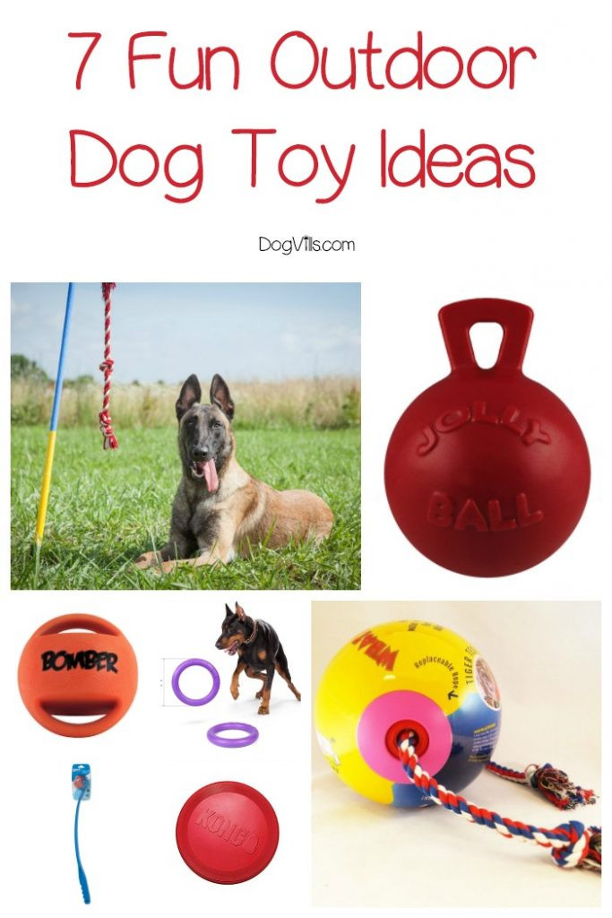 Backyard Dog Toys
 7 Exciting Outdoor Dog Toy Ideas to Buy Your Pup Now