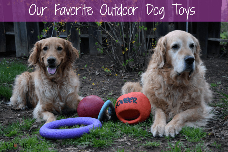 Backyard Dog Toys
 Fun in the Sun The 6 Best Outdoor Dog Toys of 2018