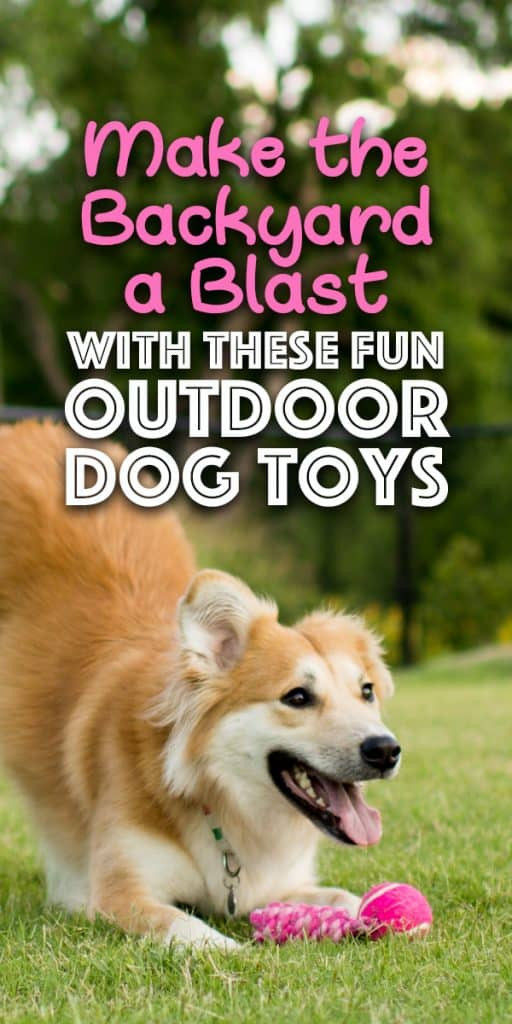 Backyard Dog Toys
 Make the Backyard a Blast With These Fun Outdoor Dog Toys