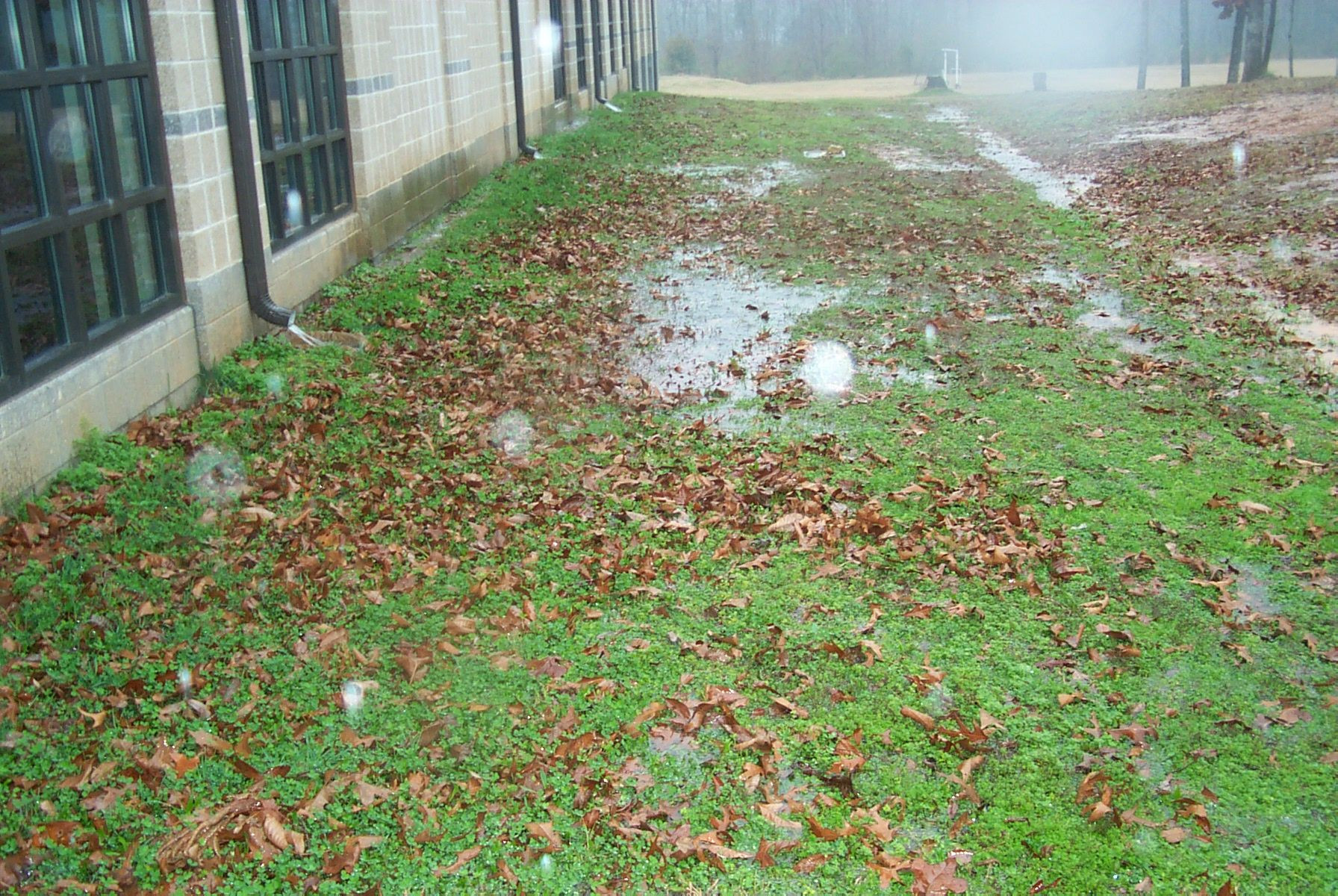 Backyard Drainage Problems
 Waterpuddles In Your Yard Are A Sign Drainage Problems