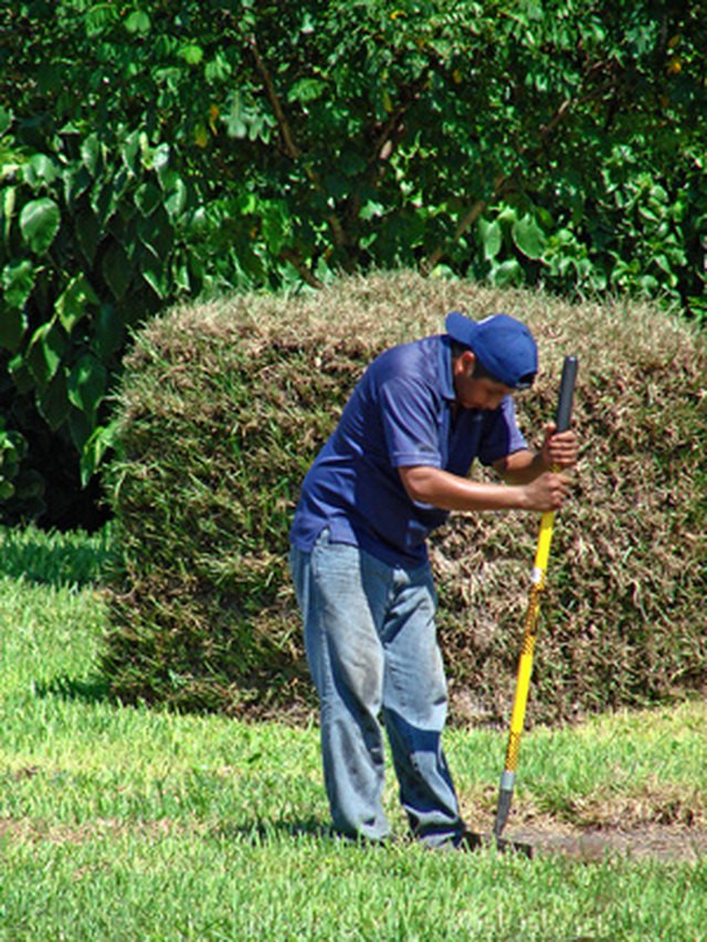 Backyard Drainage Problems
 How to Fix Backyard Water Drainage Problems