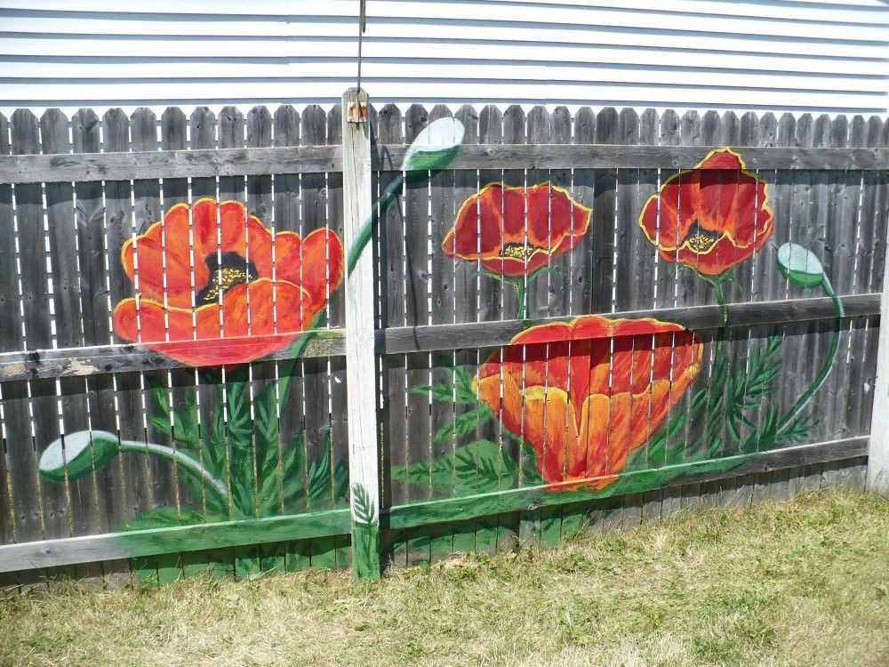 Backyard Fence Paint
 Backyard Fence Art