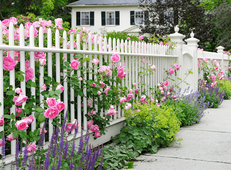 Backyard Fence Paint
 5 Fence Paint Colors to Refresh Your Exterior Curb Appeal