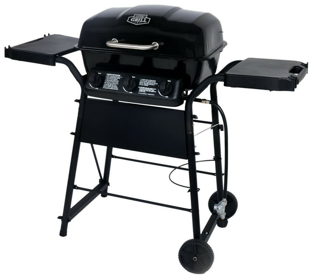 Backyard Gas Grill
 Gas Grill 2 Burner BBQ Backyard Patio Stainless Steel