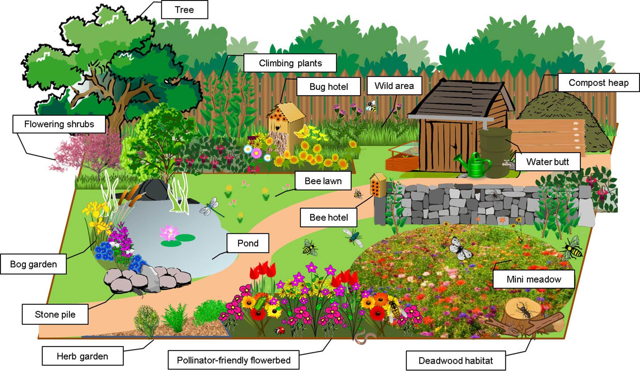 Backyard Habitat Ideas
 Gardening for Bugs