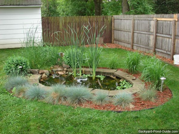 Backyard Habitat Ideas
 60 best images about My "Don t tell Mom but I m building