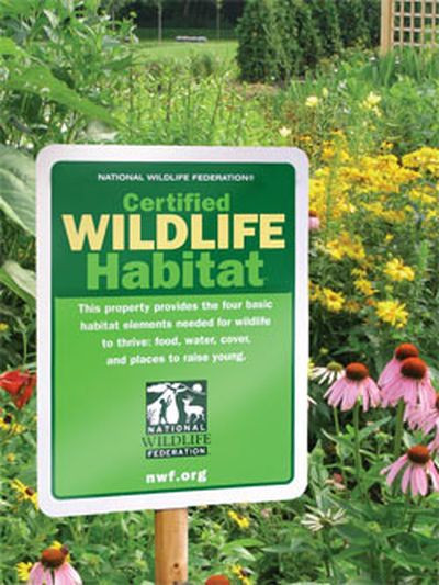 Backyard Habitat Ideas
 Cool idea for a take action project or service work Find