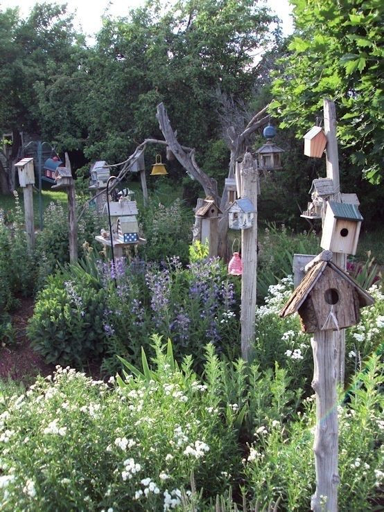 Backyard Habitat Ideas
 Pin on Backyard & Wildlife Habitat Ideas