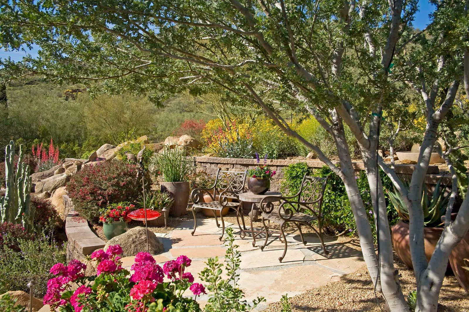 Backyard Landscape Photo
 Backyard Landscape Design Built for Limitless Enjoyment