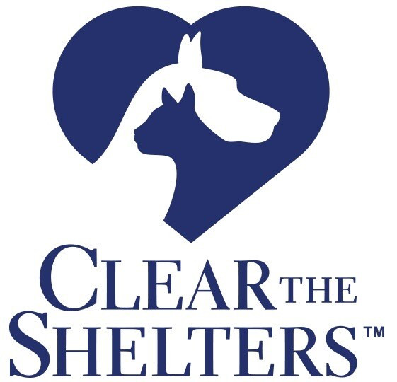 Backyard Leisure Terre Haute
 CLEAR THE SHELTERS