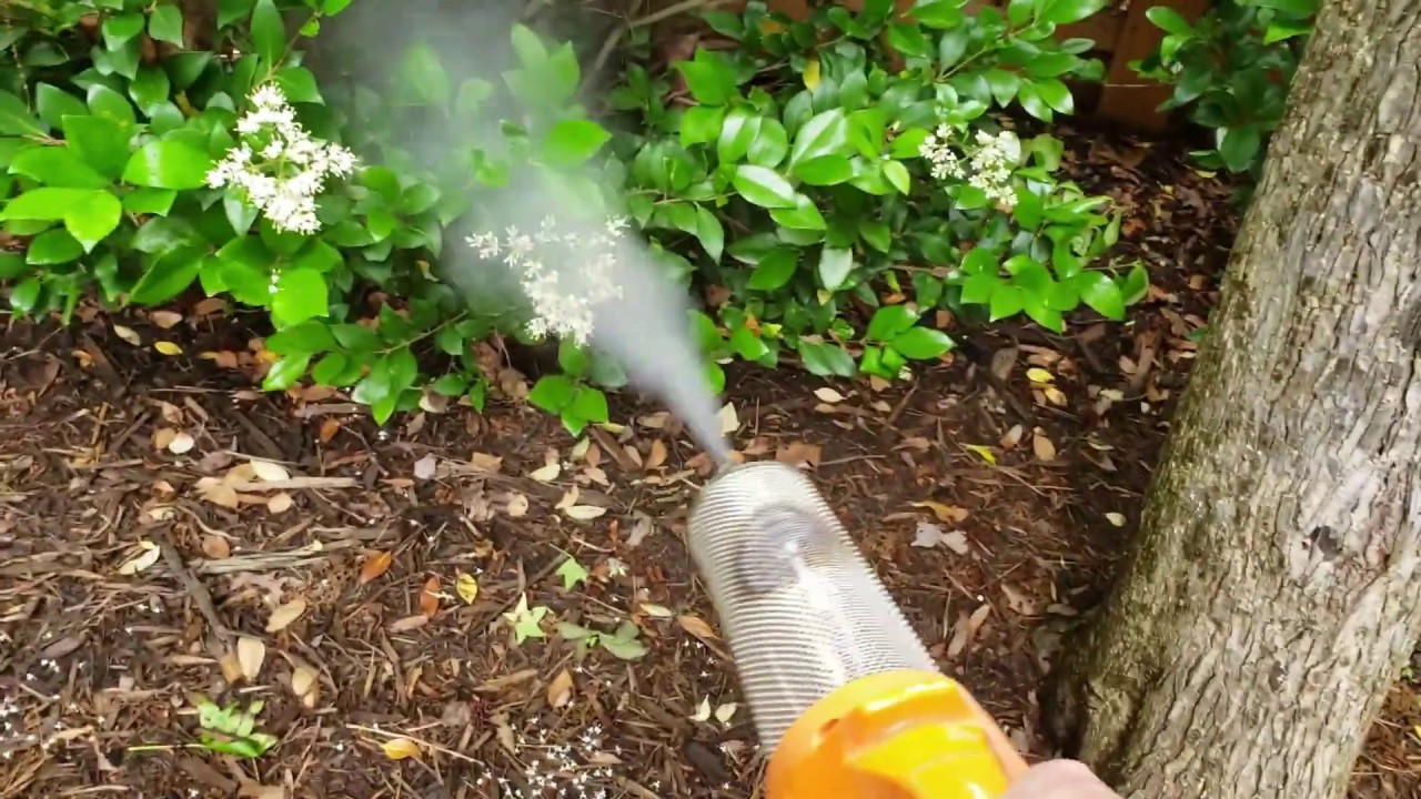 Backyard Mosquito Foggers
 DIY Mosquito Control w Cutter Edge Backyard Mosquito