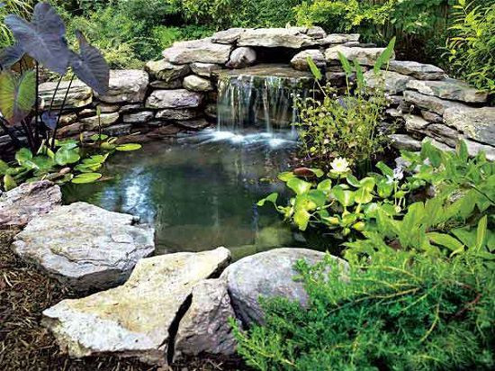 Backyard Pond Ideas
 21 DIY Water Pond Ideas