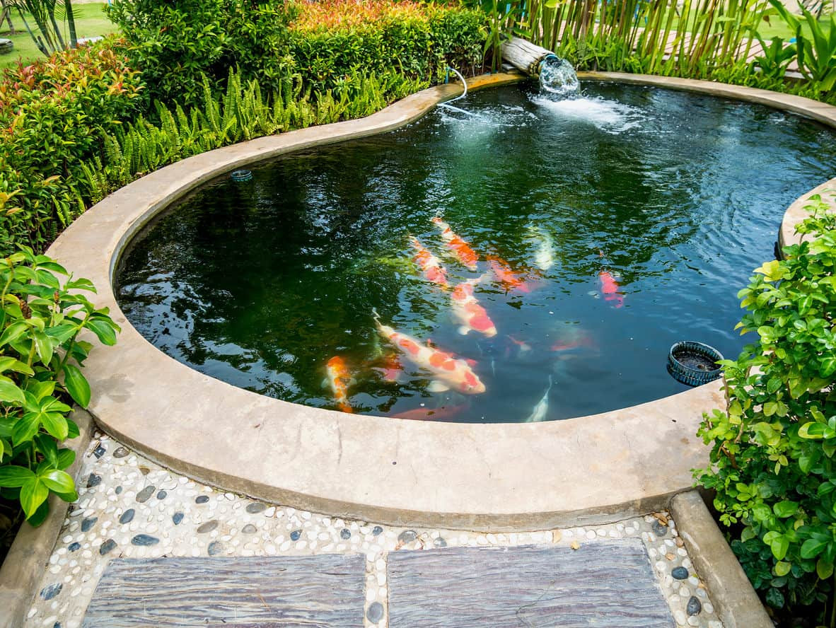 Backyard Pond Ideas
 60 Backyard Pond Ideas s