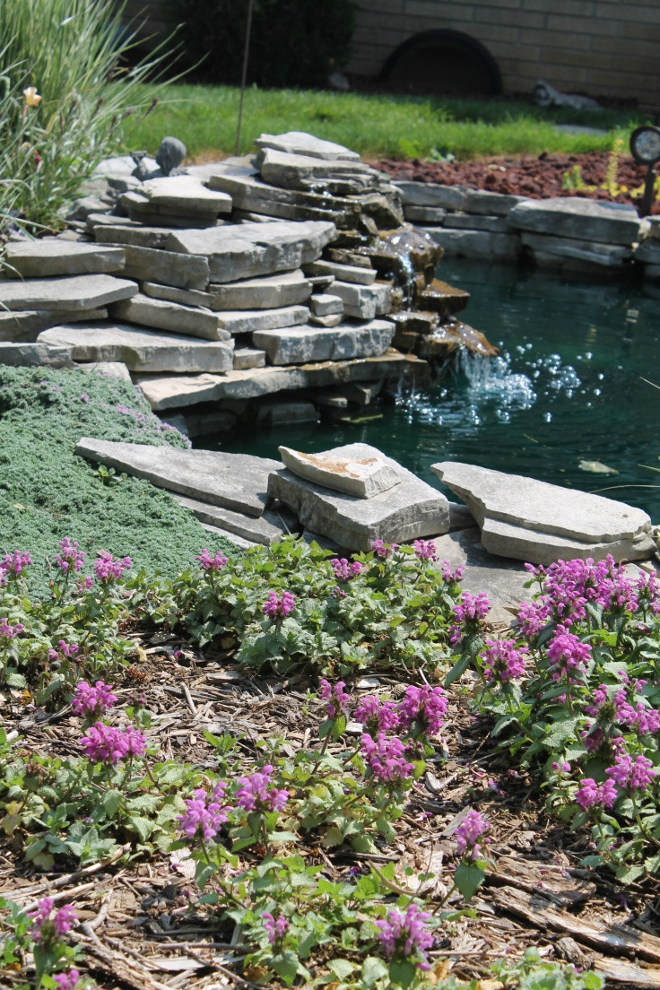 Backyard Pond Ideas
 53 Cool Backyard Pond Design Ideas