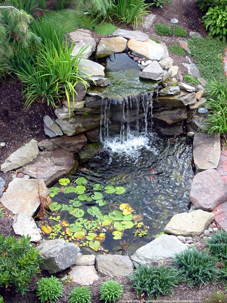 Backyard Pond Ideas
 53 Cool Backyard Pond Design Ideas