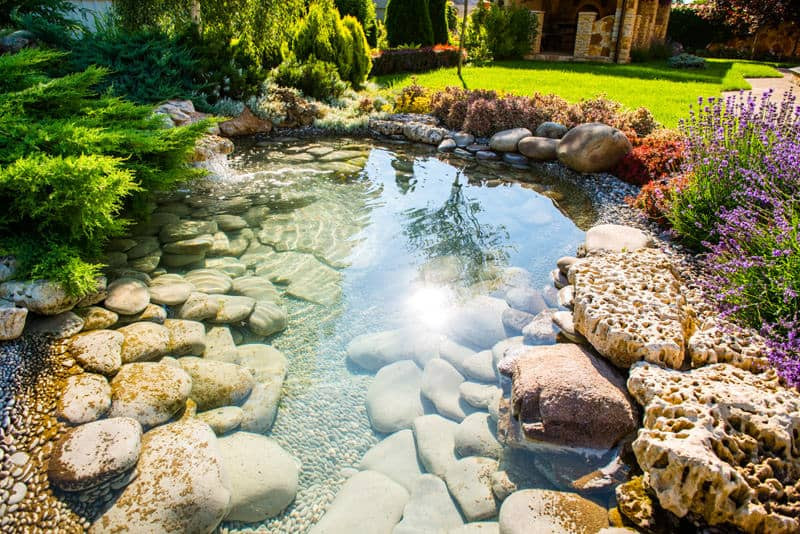 Backyard Pond Ideas
 60 Backyard Pond Ideas s